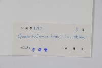 海南哥納香藏品圖，第2張