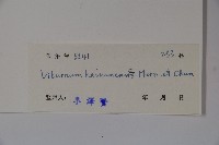 海南莢迷藏品圖，第2張