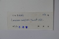 山銀花藏品圖，第2張