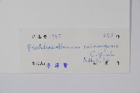 海康釣粉草藏品圖，第2張