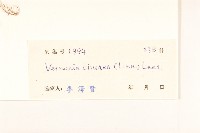 一枝香藏品圖，第3張