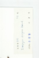 毛柿藏品圖，第6張