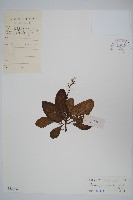 登錄號:S033984藏品圖，第1張