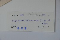 海南莢迷藏品圖，第2張