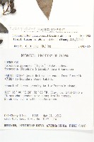 奧氏虎皮楠藏品圖，第2張