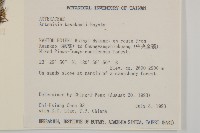 山艾藏品圖，第2張