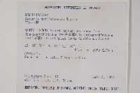 玉山小蘗藏品圖，第2張