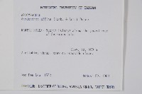 小錦蘭藏品圖，第2張