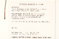 刀傷草藏品圖，第2張