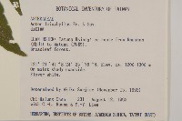 山白蘭藏品圖，第2張