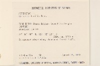 矮菊藏品圖，第2張