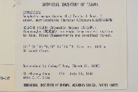 玉山抱莖籟簫藏品圖，第2張