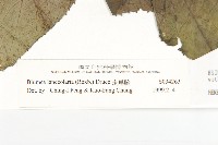 走馬胎藏品圖，第2張