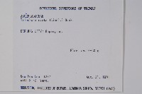 鷗蔓藏品圖，第2張