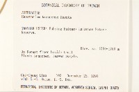 塔山澤蘭藏品圖，第2張