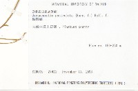 娥房藤藏品圖，第2張