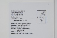 青葙藏品圖，第2張