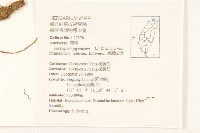 中原氏鬼督郵藏品圖，第2張