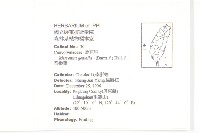 菜欒藤藏品圖，第2張