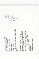 雙輪瓜藏品圖，第2張