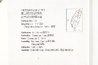 焊菜藏品圖，第2張