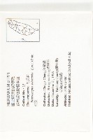 杜英、山杜英、蘭嶼杜英藏品圖，第2張