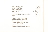 蔓黃菀藏品圖，第2張