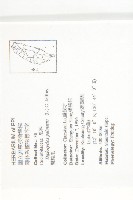 雙輪瓜藏品圖，第2張