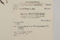 中南蒿藏品圖，第2張