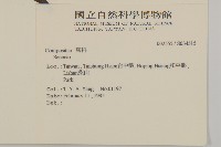 臺灣馬蘭藏品圖，第2張