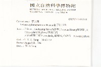 紅子佛甲草藏品圖，第2張