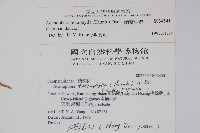 輪葉沙參藏品圖，第2張