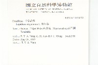 獨行菜藏品圖，第2張