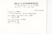 濱旋花藏品圖，第2張