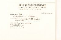 雙花蟛蜞菊藏品圖，第2張