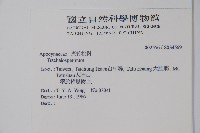 登錄號:S034569藏品圖，第2張