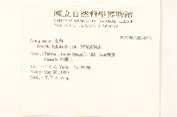 雙花蟛蜞菊藏品圖，第2張