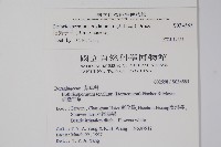 細纍子草藏品圖，第2張