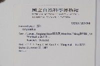 登錄號:S034598藏品圖，第2張