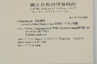 草珊瑚、紅果金粟蘭藏品圖，第2張