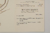 中原氏鬼督郵藏品圖，第2張