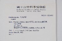 登錄號:S034608藏品圖，第2張