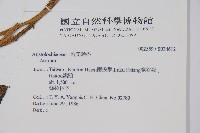 登錄號:S034612藏品圖，第2張