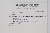 登錄號:S034625藏品圖，第2張