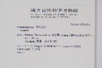 登錄號:S034626藏品圖，第2張