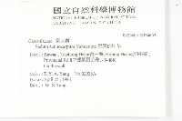 星果佛甲草藏品圖，第2張