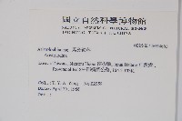 登錄號:S034665藏品圖，第2張