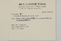 高山艾藏品圖，第2張