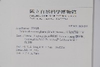 長花九頭獅子草、山藍藏品圖，第2張