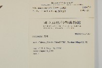 珍珠蒿、奇蒿藏品圖，第2張